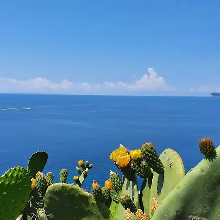 Apartament I Due Pini - Argonautivacanze Capoliveri (Isola d'Elba)